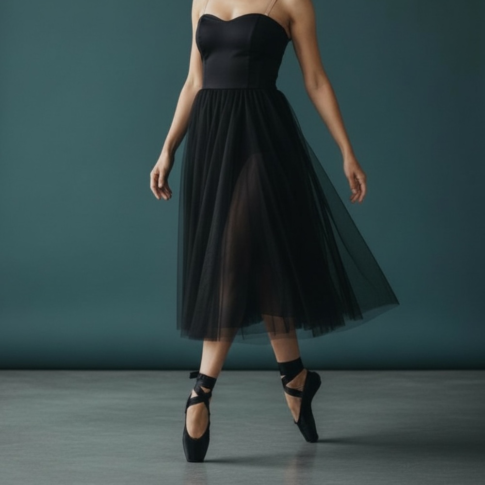 ✨ Sheer Black Ballet Costume/Dress – Elegant & Timeless ✨XS